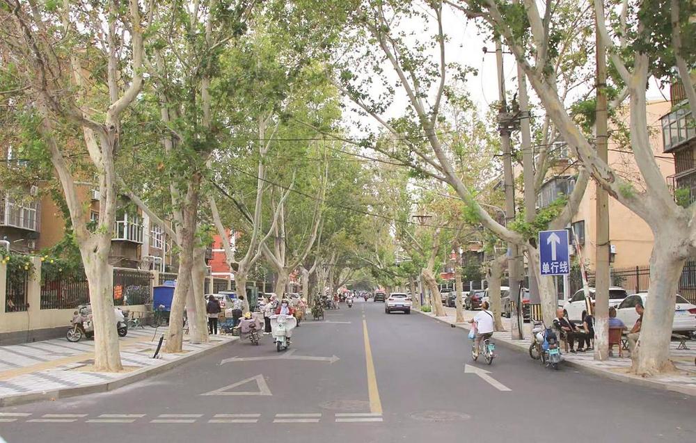 平整干净的望岭路。 本报记者 刘学维 摄