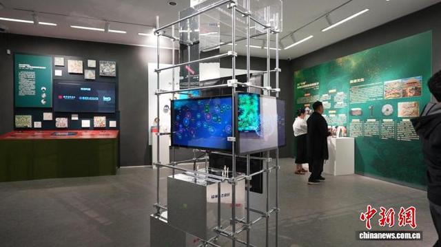 展览现场。主办方供图