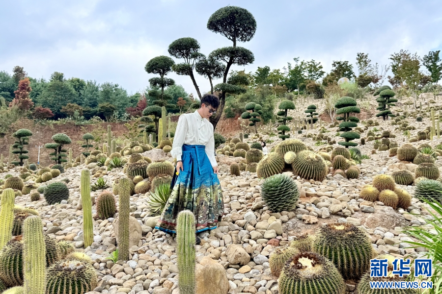 采风团成员参观位于太平湖国际生态旅游度假区的山地石漠化公园（9月18日摄）。新华网发（刘小戌 摄）